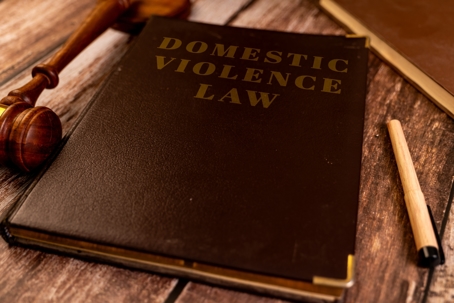 Domestic Violence Law